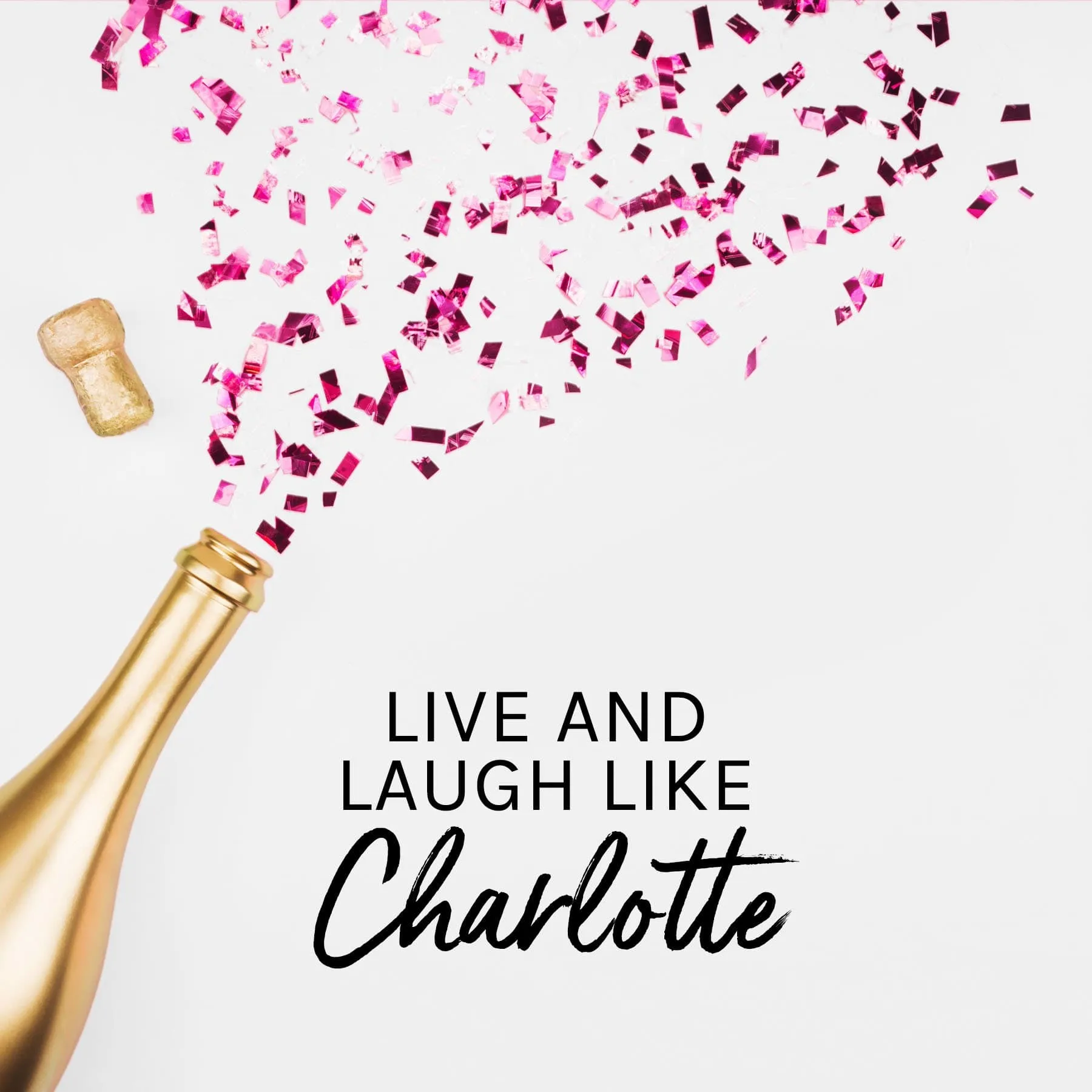 5d Faux Mink Silk Lashes 4. Charlotte