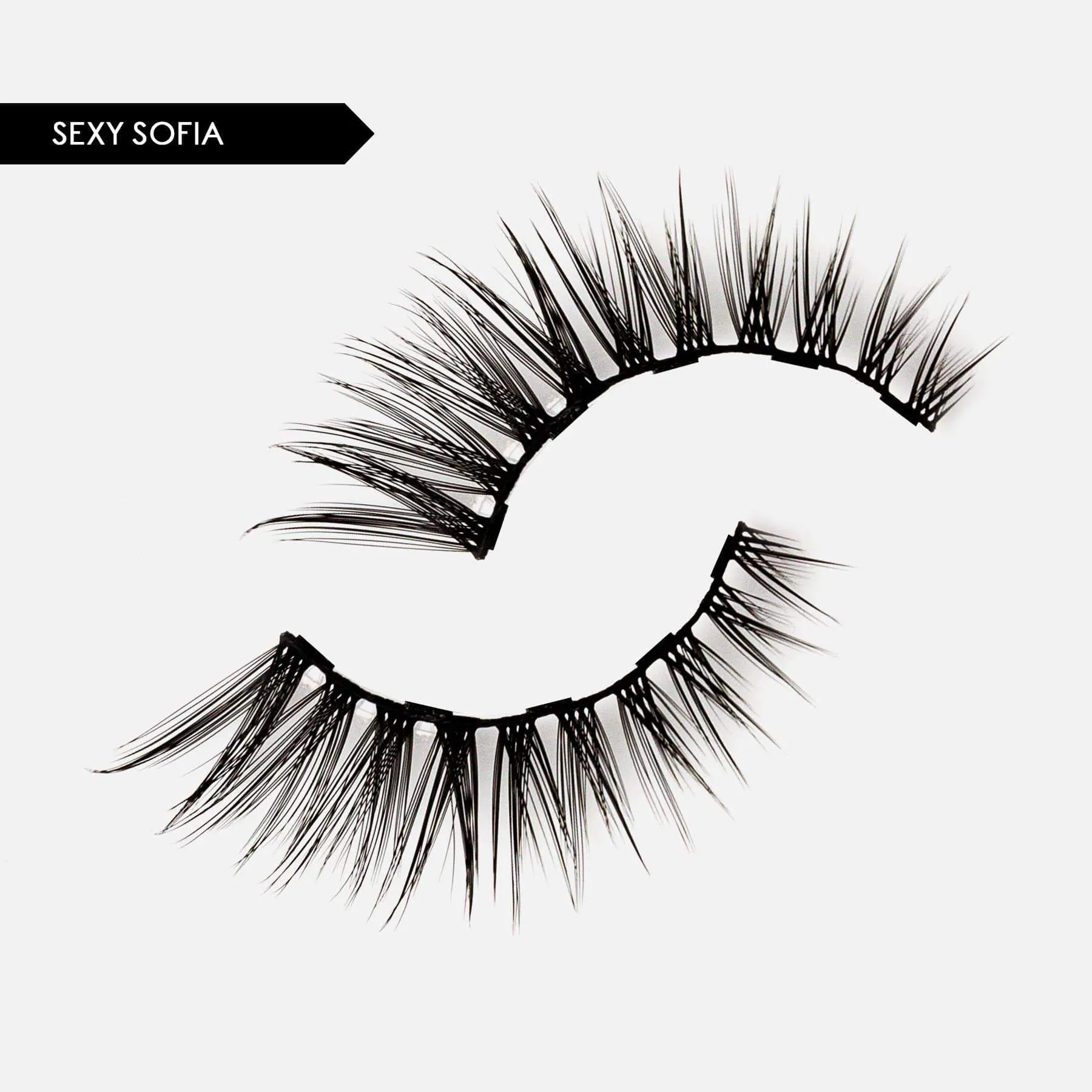 AU Magnomatic Magnetic Eyeliner   Lash kit - Sofia (Bonus Natural Taylor Lashes)