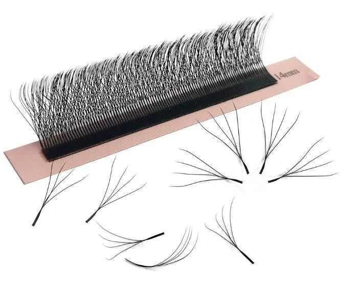 Black W Lashes Single Length