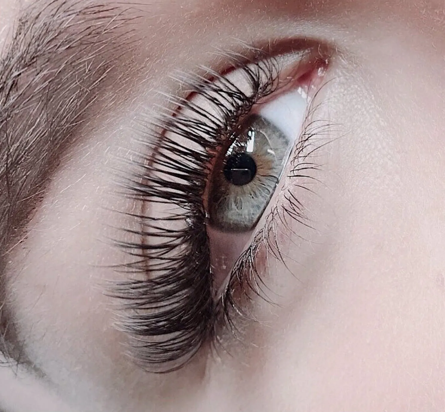 CC CURL LASHES