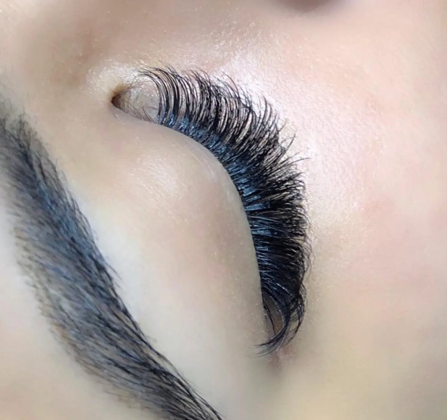 CC CURL LASHES