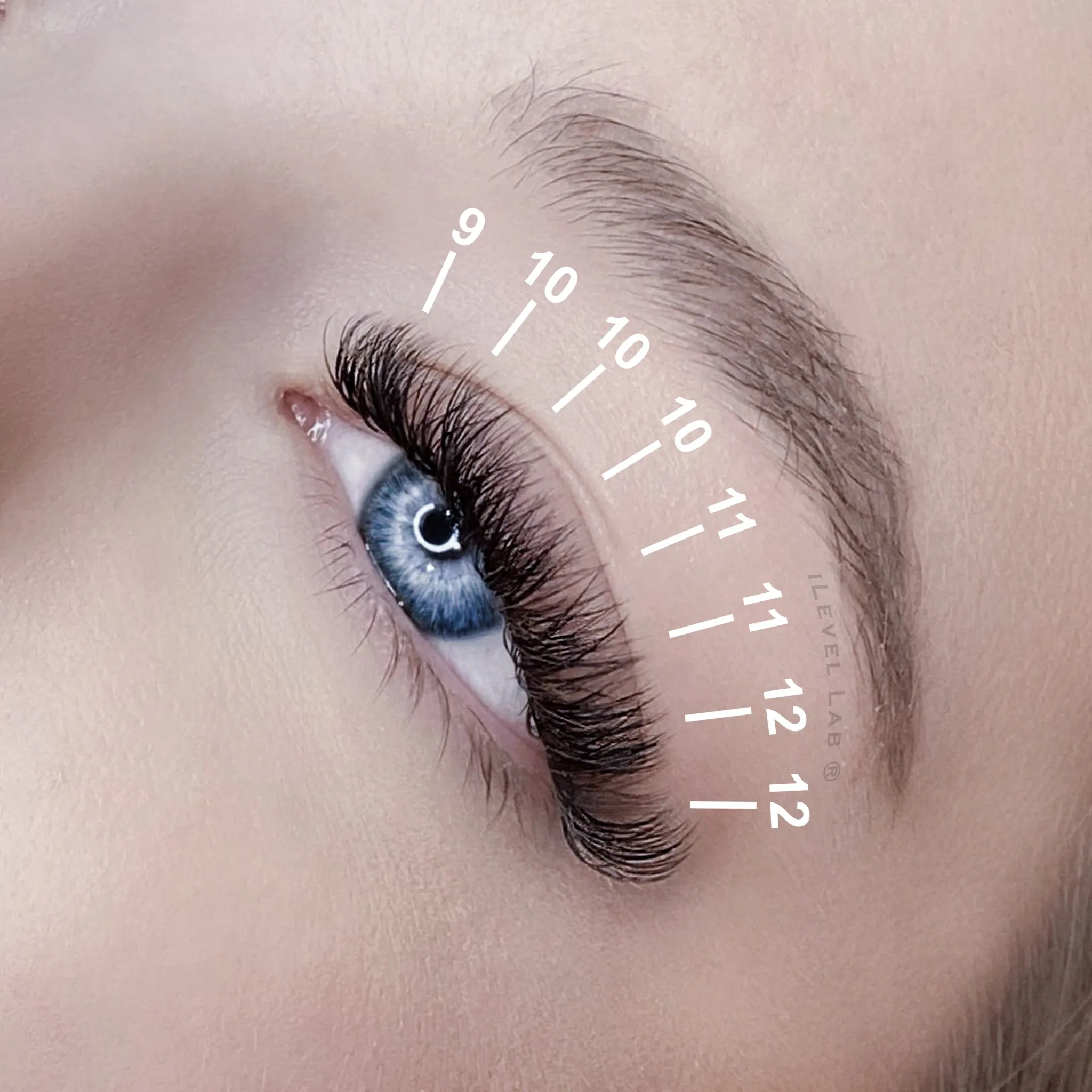 CC CURL LASHES