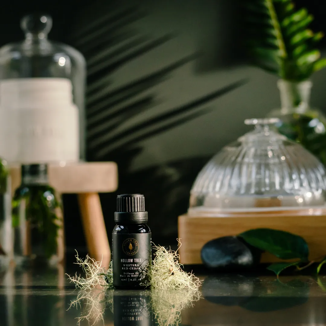 Hollow Tree - Diffuser Oil