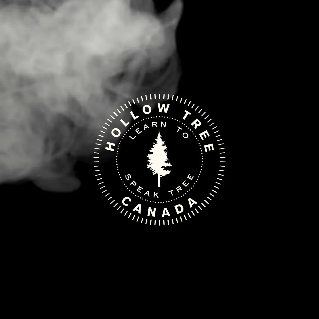 Hollow Tree - Diffuser Oil