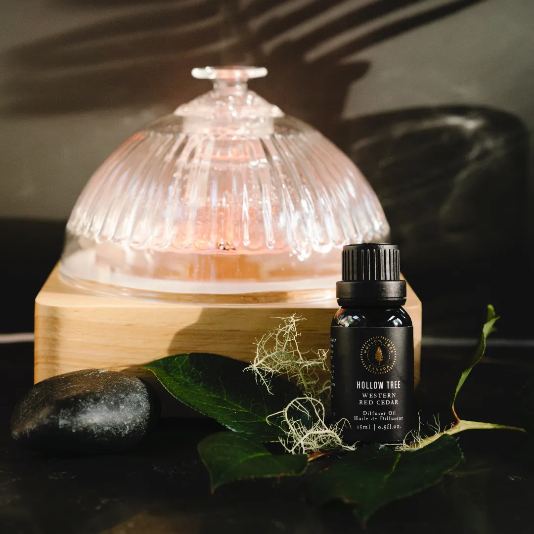 Hollow Tree - Diffuser Oil
