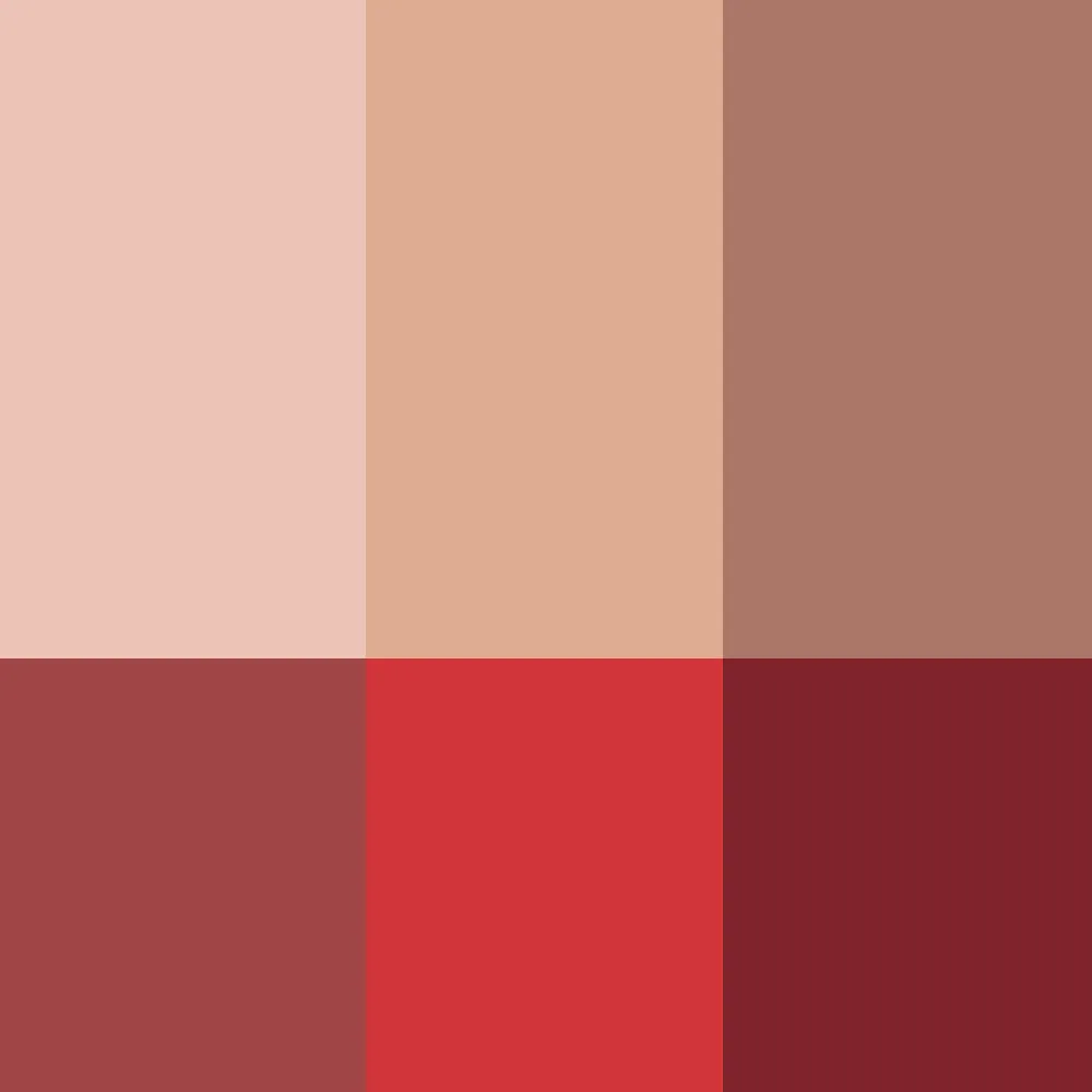 La Palette Visage
