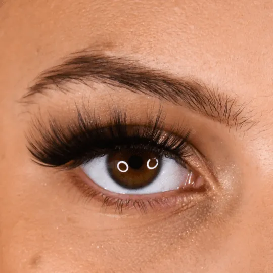 LB06 Volume Strip Lashes