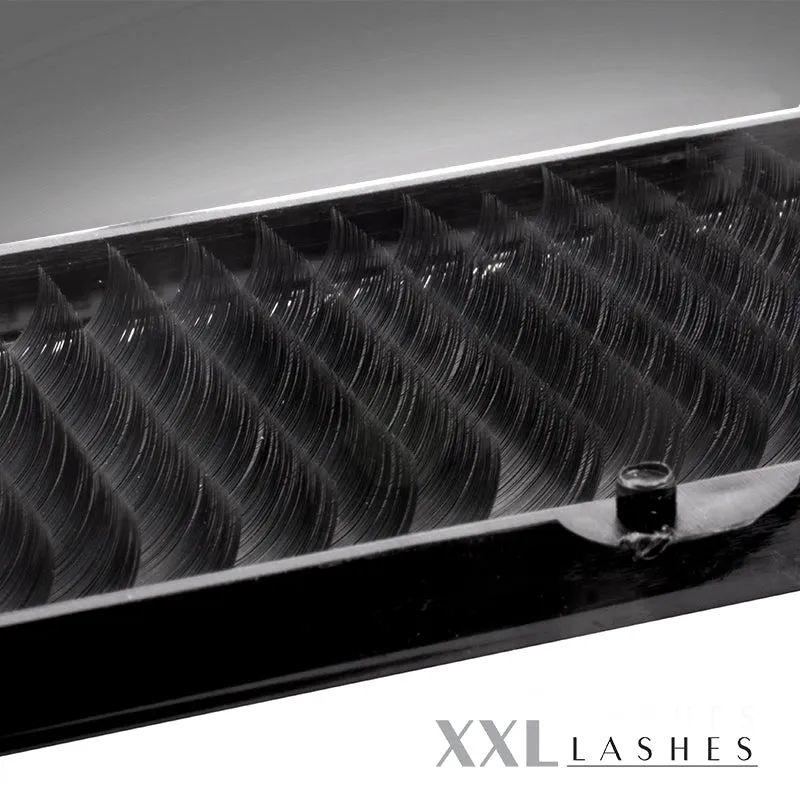 Magic Volume Lashes | D-Curl